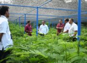 Kolaborasi Hijau: PT Semen Padang dan PPNP Tanam Harapan Lewat 2 Juta Bibit Kaliandra