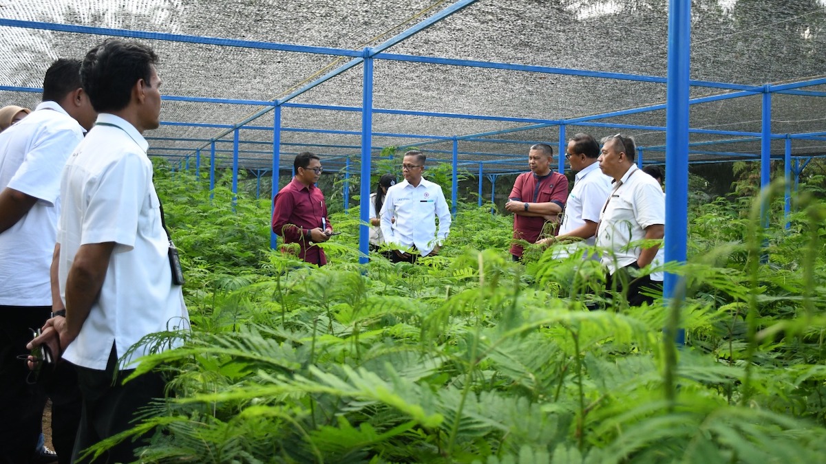 Kolaborasi hijau PT Semen Padang dengan PNPP melalui penanaman kaliandra. (dok. istimewa)