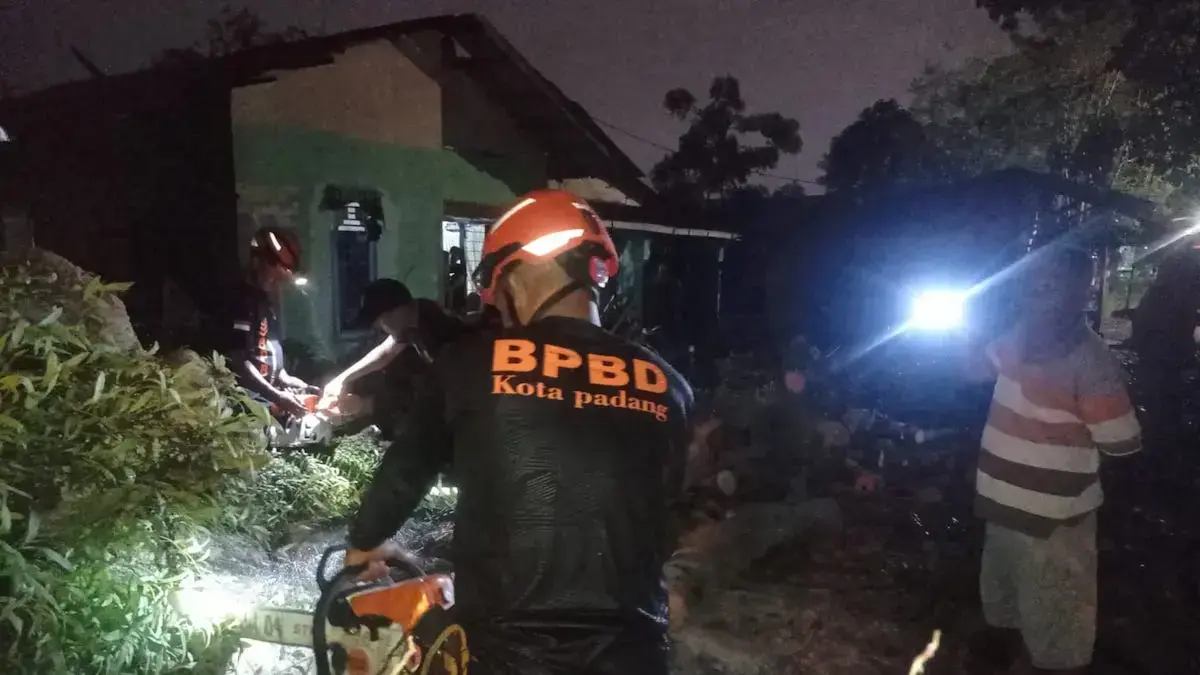 Personil BPBD Kota Padang membersihkan material pohon tumbang. (dok. BPBD Padang)