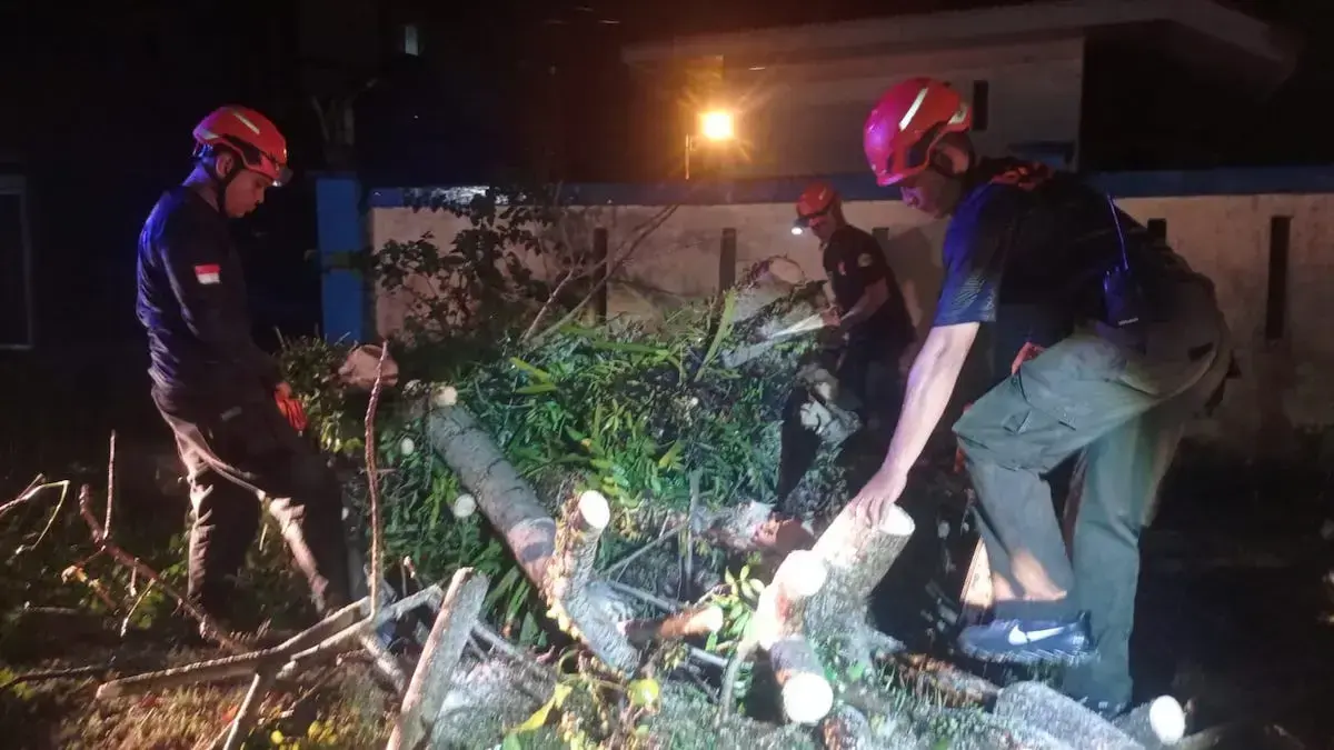 Personil BPBD Padang bersihkan material pohon tumbang. (dok. BPBD Padang)