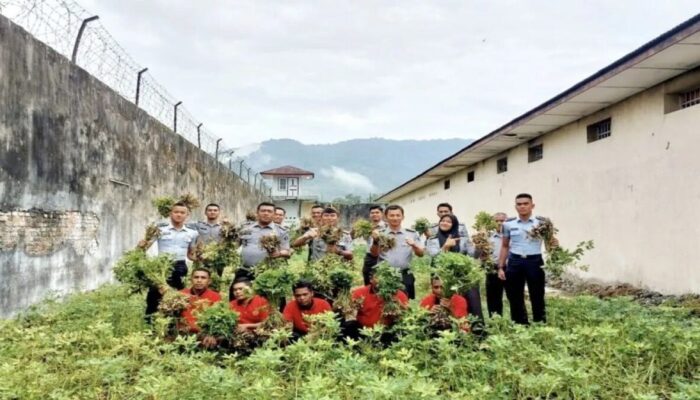 Rutan Lubuk Sikaping Panen 120 Kg Kacang Tanah, Hasilkan Produk UMKM Khas