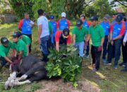 Bank Nagari Berkurban 2025, 51 Hewan Kurban Disembelih