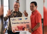 Bank Nagari Serahkan Hewan Kurban ke PWI Sumbar