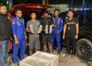 Polairud Baharkam Polri Gagalkan Penyelundupan 11.543 Ekor Benih Lobster di Sukabumi