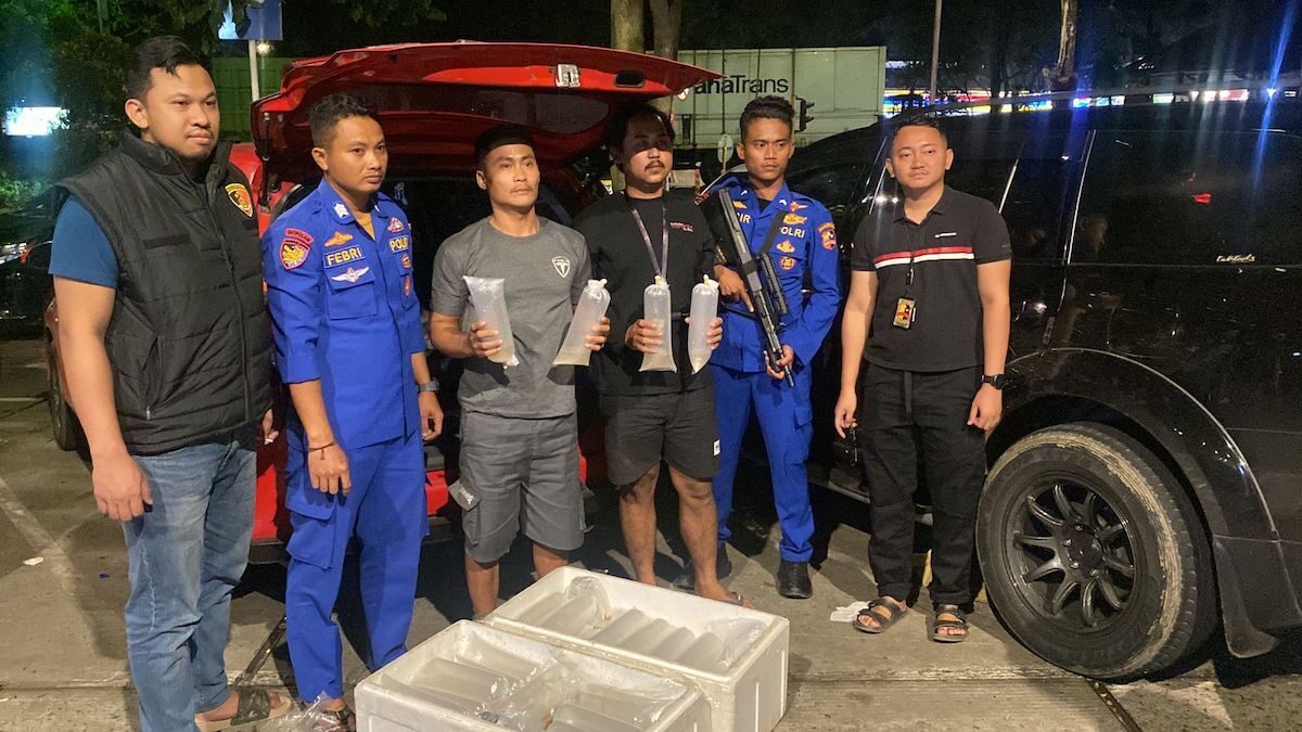 Dirpolairud Baharkam Polri gagalkan penyelundupan lobster. (dok. Divhumas)