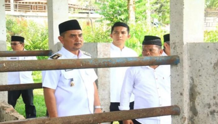 Wabup Pasaman Soroti Fasilitas Pembibitan Sapi Terlantar di Tigo Nagari