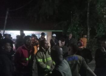 Nenek 70 Tahun di Agam Hilang di Kebun Manggis, Tim Gabungan Dikerahkan untuk Pencarian