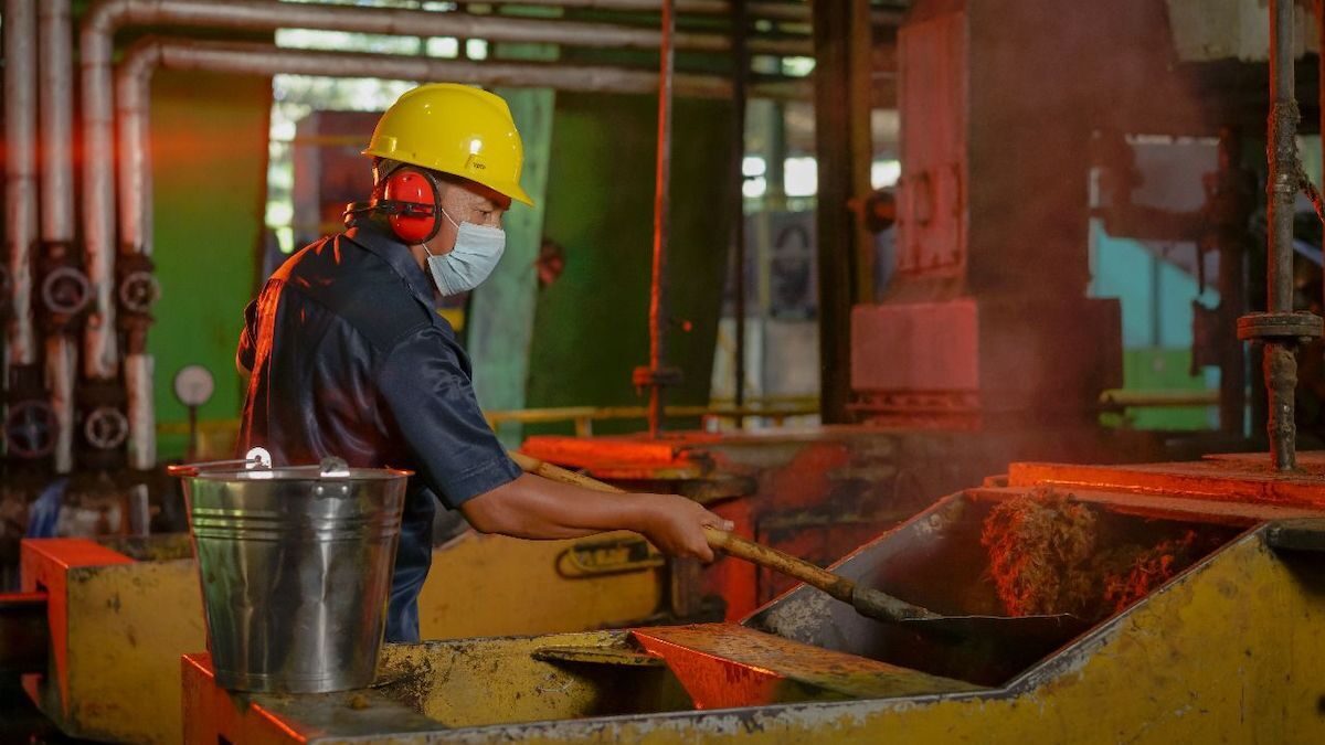 Seorang pekerja di PTPN IV PalmCo. (dok. istimewa)