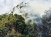 Kebakaran Lahan Terjadi di Harau, Api Hampir Capai Puncak Bukit