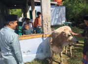 Wagub Sumbar Salat Id dan Serahkan Kurban di Masjid Nurul Huda Sungai Nyalo Pessel
