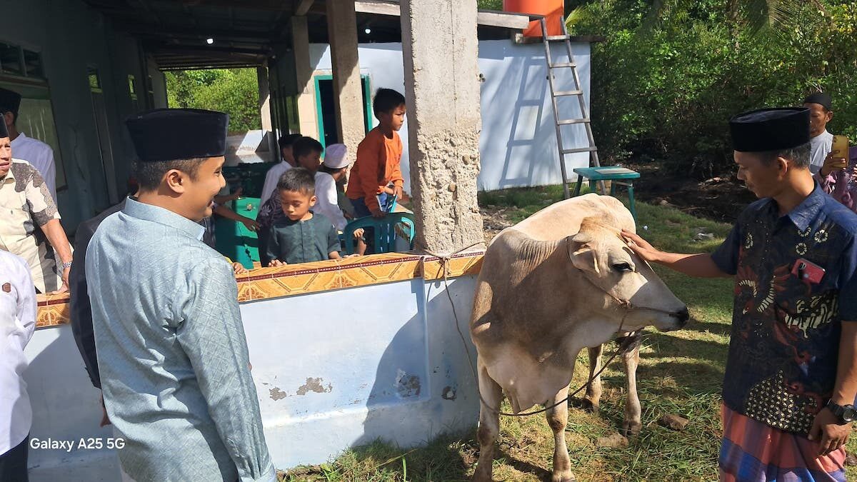 Wagub Sumbar Vasko Ruseimy serahkan sapi kurban di Sungai Nyalo, Kabupaten Pesisir Selatan. (dok. adpsb)