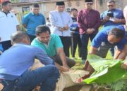 Wawako Maigus Nasir Saksikan Langsung Pemotongan Kurban di Kantor LPKS