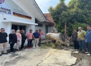 Andre Rosiade Sebar 80 Ekor Sapi Kurban di Sumbar, Masyarakat Sampaikan Apresiasi
