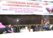 Presiden Prabowo Salurkan Sapi Kurban 802 Kg ke Kota Pariaman, Wako Pantau Langsung Penyembelihan