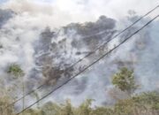 BNPB Ingatkan Potensi Karhutla Mulai Muncul di Sejumlah Wilayah