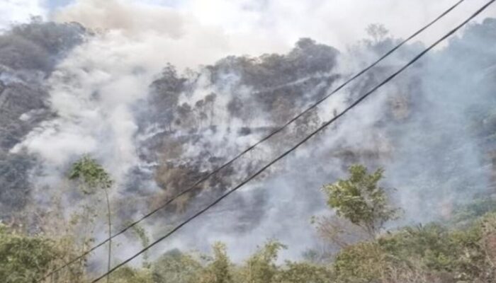 BNPB Ingatkan Potensi Karhutla Mulai Muncul di Sejumlah Wilayah
