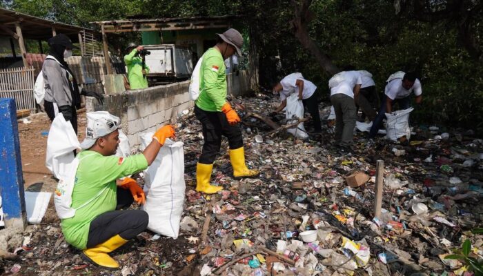 PLN Gerak Serentak Bersihkan Sampah di 56 Lokasi Se-Indonesia pada Hari Lingkungan Hidup Sedunia 2025