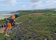 Wujud Kontribusi ke Negara, PLN Setor Rp65,59 Triliun Lewat Dividen, Pajak dan PNBP