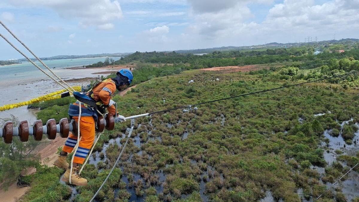 Petugas PLN tengah melakukan pemeliharaan jaringan transmisi Saluran Udara Tegangan Tinggi (SUTT) 150 kiloVolt (kV) sebagai bagian dari upaya memastikan keandalan pasokan listrik secara nasional. (dok. Humas PLN)