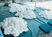 Muslim PalmCo Rampungkan Penyaluran 61 Ton Paket Daging Kurban di 50 Kabupaten dan Kota