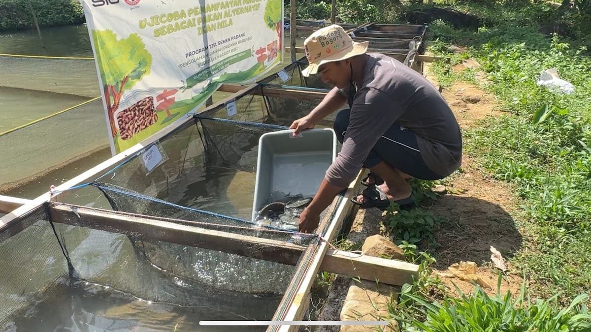 Rencana ujicoba maggot sebagai pakan ikan. (dok. istimewa)