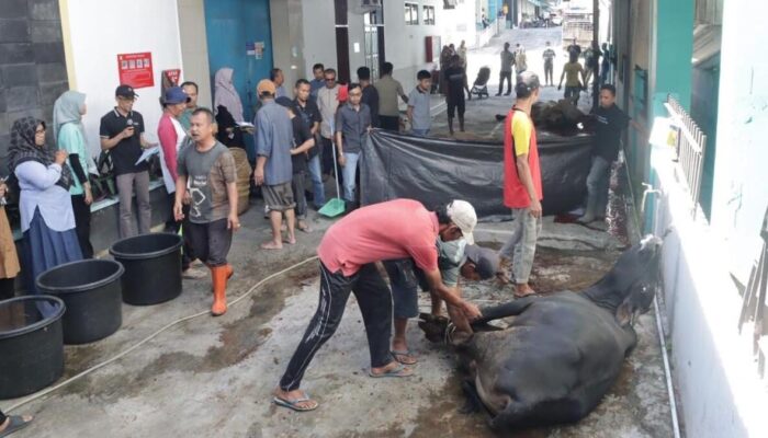 Semangat Berbagi, PLN UID Sumbar Salurkan Daging Kurban ke Masyarakat