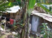 Viral Lansia Tinggal di Hutan, Pemnag Saruaso Tanah Datar Bantah tak Beri Bantuan