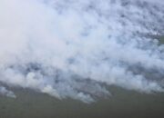 Kemenhut Kerahkan Tim Manggala Agni Padamkan Karhutla di Riau dan Kepri