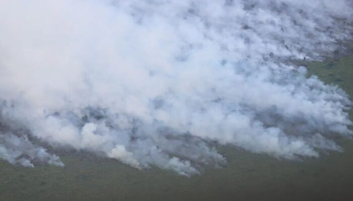 Kemenhut Kerahkan Tim Manggala Agni Padamkan Karhutla di Riau dan Kepri