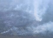 16 Tersangka Pembakar Hutan Ditetapkan di Riau, BNPB: Penegakan Hukum Jalan Terus