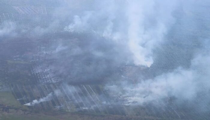 16 Tersangka Pembakar Hutan Ditetapkan di Riau, BNPB: Penegakan Hukum Jalan Terus