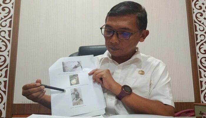 Harimau Sumatra Mati di TMSBK Bukittinggi, Diduga karena Kelainan Genetik