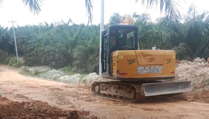 PTPN IV Regional 4 Perbaiki Jalan, Perekonomian Desa Melambung