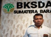 BKSDA Sumbar Susun SOP Pendakian Gunung Cegah Kecelakaan, Fokus Marapi dan Sekitarnya