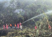 Pemkab Limapuluh Kota Sepakati Masa Tanggap Darurat Selama Dua Minggu