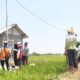 Salah satu petani di Desa Sukorejo, Ponorogo, Jawa Timur mendengarkan penjelasan dari Petugas PLN terkait penggunaan kWh meter untuk mengontrol listrik pompa air persawahan melalui program Electrifying Agriculture (EA). (dok. Humas PLN)