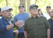 BPK RI Apreasiasi Pengelolaan Kopi Ijen oleh PalmCo, Siap Bawa Java Coffee Mendunia