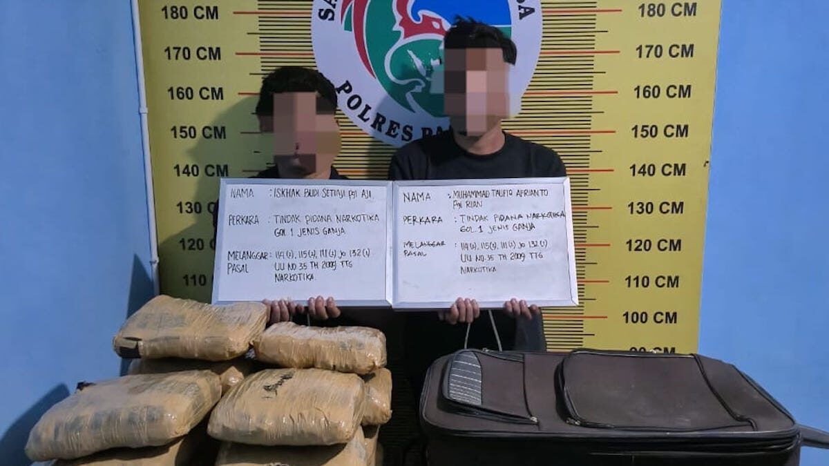 Polisi amankan 12 paket besar ganja dari dua remaja di Pasaman. (dok. istimewa)