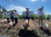 Atasi Kekurangan Jagung, Pemprov Sumbar Jalin Kolaborasi untuk Peningkatan Produksi