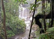 Dorong Pemerataan Energi, PLN Siap Bangun PLTM 1,2 MW di Supiori Papua