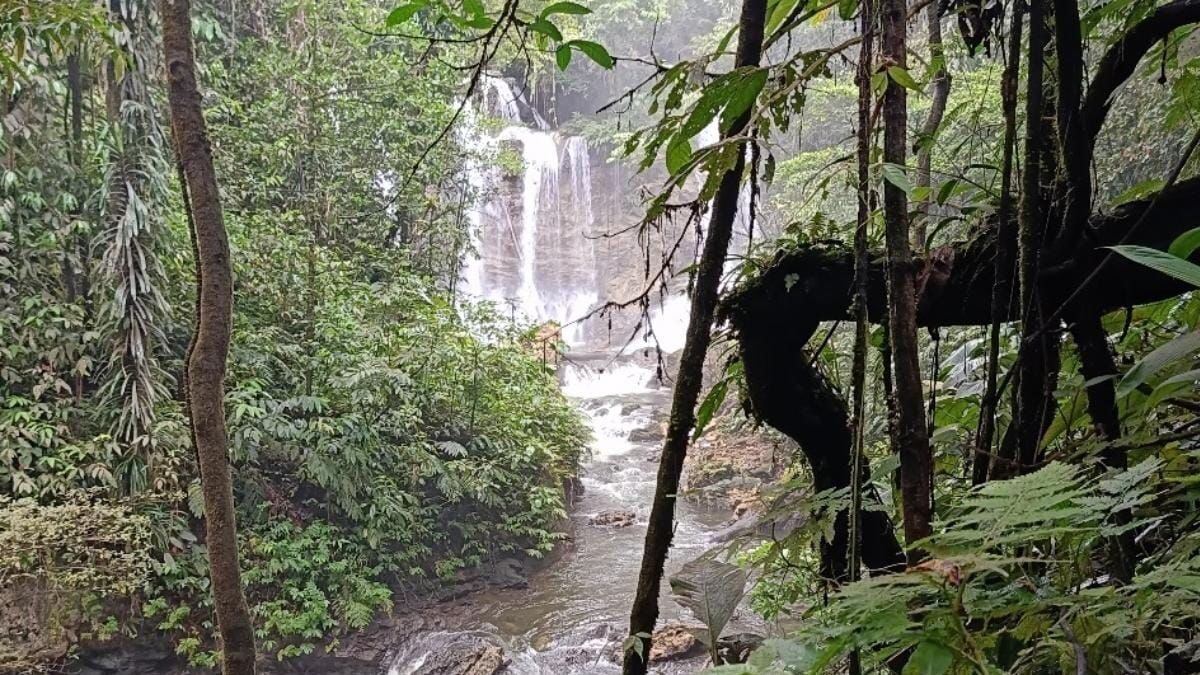 Sungai Wabudori di Papua yang akan dimanfaatkan untuk PLTM. (dok. istimewa)