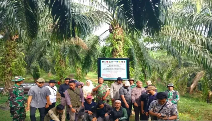 Satgas PKH Tertibkan Ribuan Hektare Cagar Alam Maninjau yang Beralih jadi Perkebunan