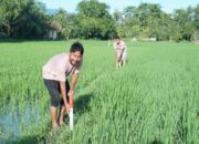 Kementerian ATR/BPN Dorong Partisipasi Masyarakat untuk Pasang Patok Batas Tanah Melalui GEMAPATAS