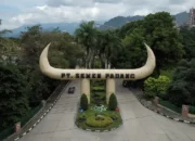PT Semen Padang Umumkan Direksi dan Komisaris Baru, Ini Daftarnya