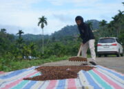 Nagari Unggan di Sumatra Barat Menuju Garda Depan Investasi Iklim Berkeadilan