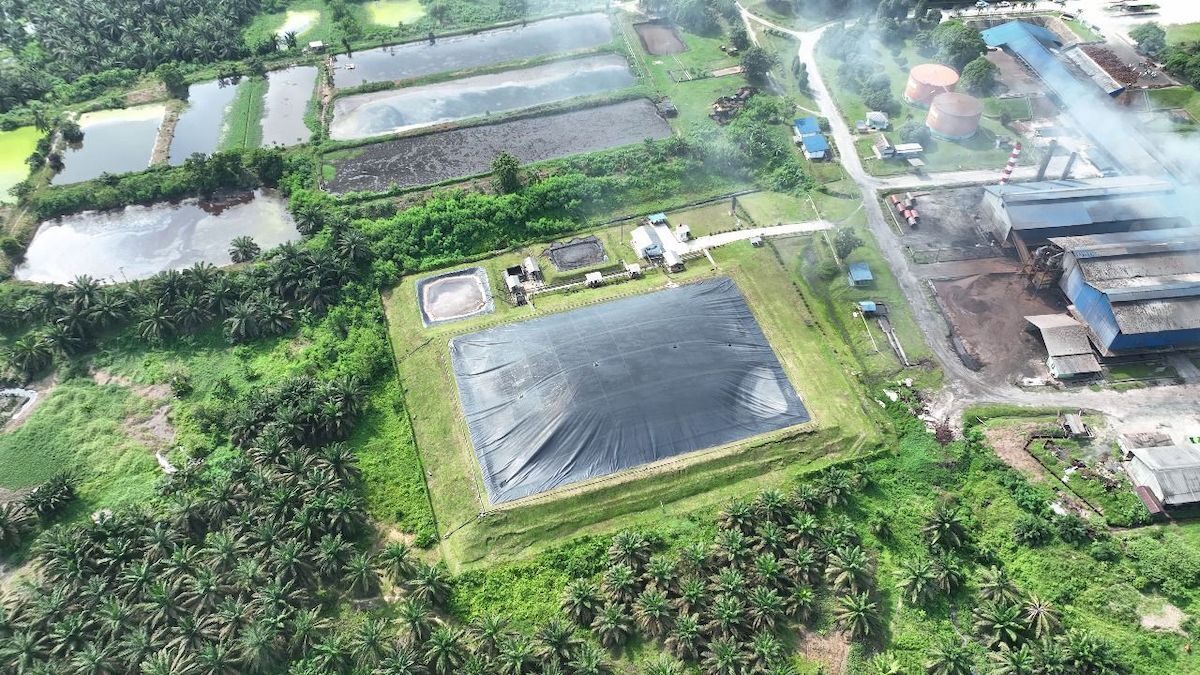 Karbon untuk selamatkan lingkungan. (dok. istimewa)