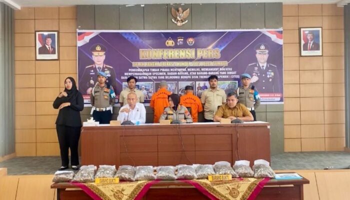 Polda Sumbar Gagalkan Perdagangan Sisik Trenggiling, Dua Pelaku Ditangkap