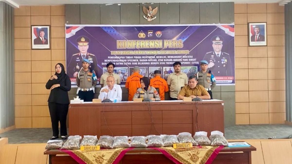 Konferensi pers perdagangan sisik trenggiling oleh Polda Sumbar. (dok. istimewa)