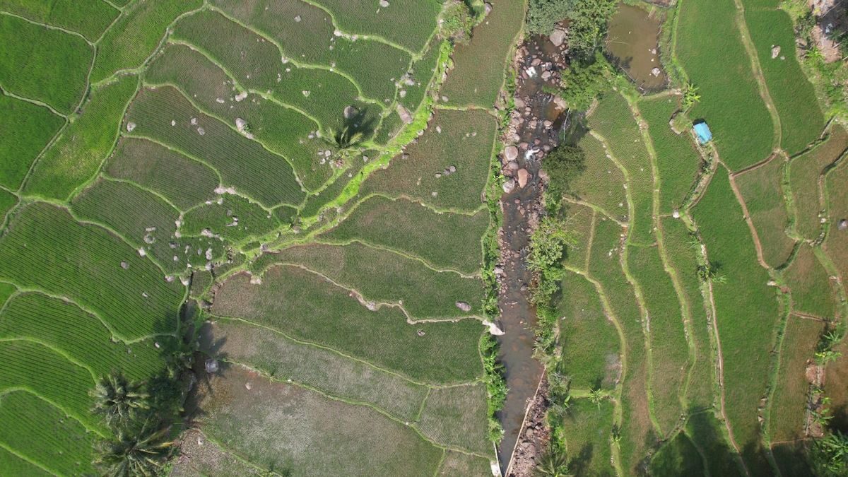 ilustrasi pemetaan tanah. (dok. istimewa)