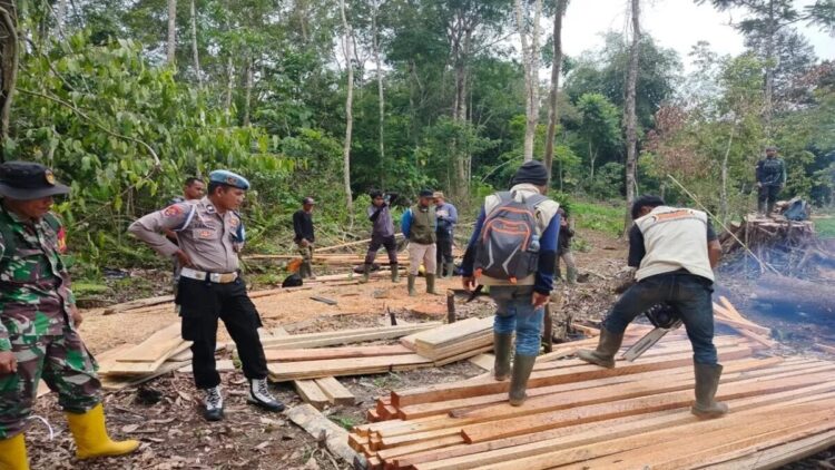 Tim Gabungan BKSDA Sumbar Polsek Ampek Koto Aur Malintang dan Koramil 08 Sungai Geringging sedang memusnahkan kayu di dalam kawasan Cagar Alam Maninjau di Kecamatan Ampek Koto Aur Malintang, Kabupaten Padang Pariaman, Kamis (9/10). Dok ANTARA/Yusrizal